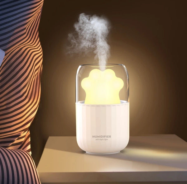 Mini Humidifier with night light